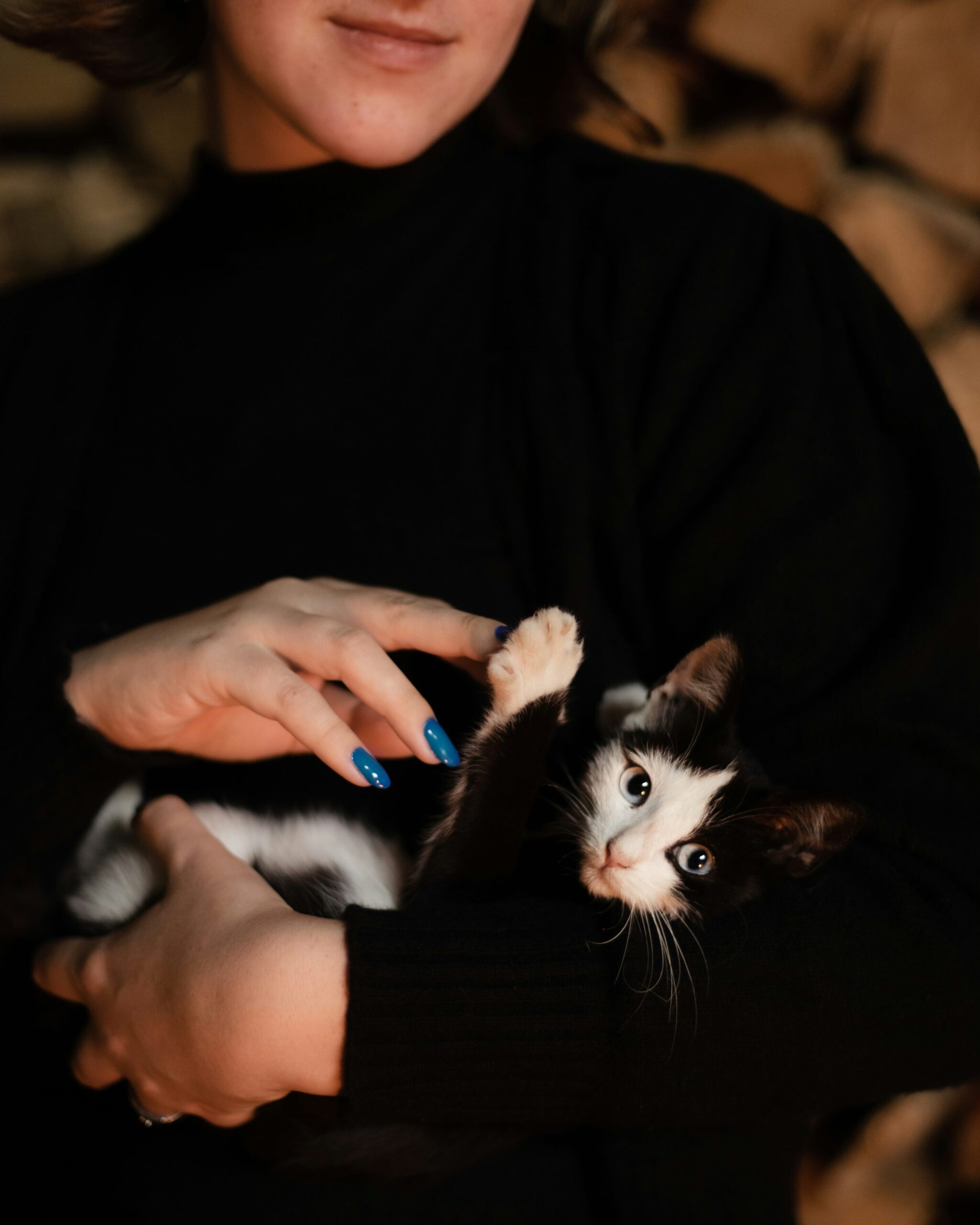 a person cutting a cat